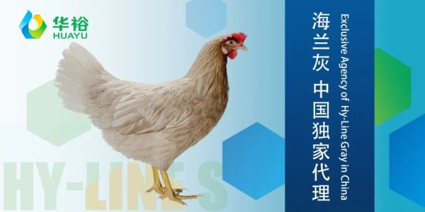 创牛配资 年营收近5.8亿、增长81.87%，盐津铺子布局鹌鹑蛋取得重大突破