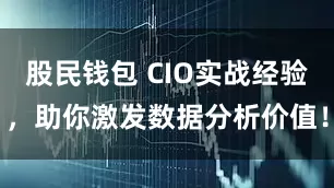 股民钱包 CIO实战经验，助你激发数据分析价值！