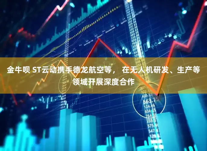 金牛呗 ST云动携手德龙航空等， 在无人机研发、生产等领域开展深度合作
