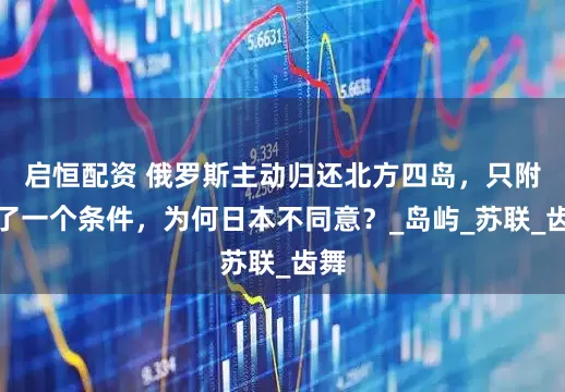 启恒配资 俄罗斯主动归还北方四岛，只附加了一个条件，为何日本不同意？_岛屿_苏联_齿舞