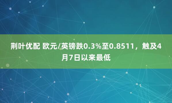 荆叶优配 欧元/英镑跌0.3%至0.8511，触及4月7日以来最低